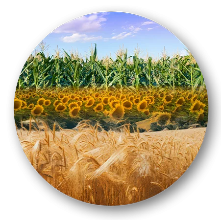 Formülasyon — Organo Tarım Teknolojileri