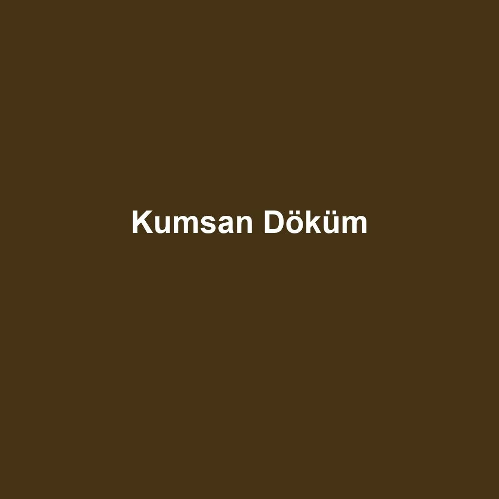 Foundry Material Supply — Kumsan Döküm
