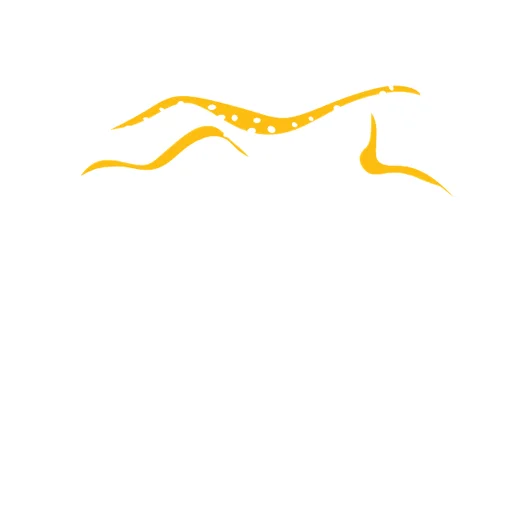 Çita Marin Mobilya logo