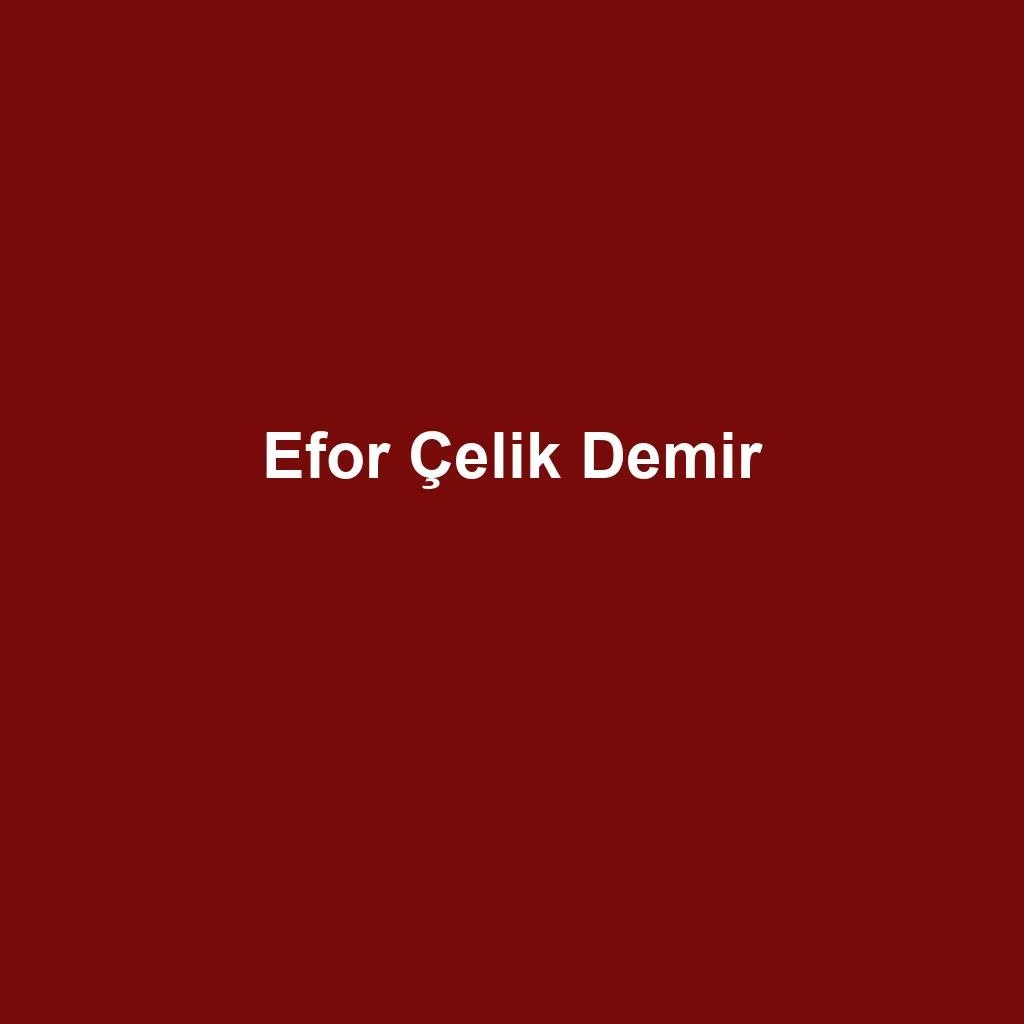 Slitting — Efor Çelik Demir