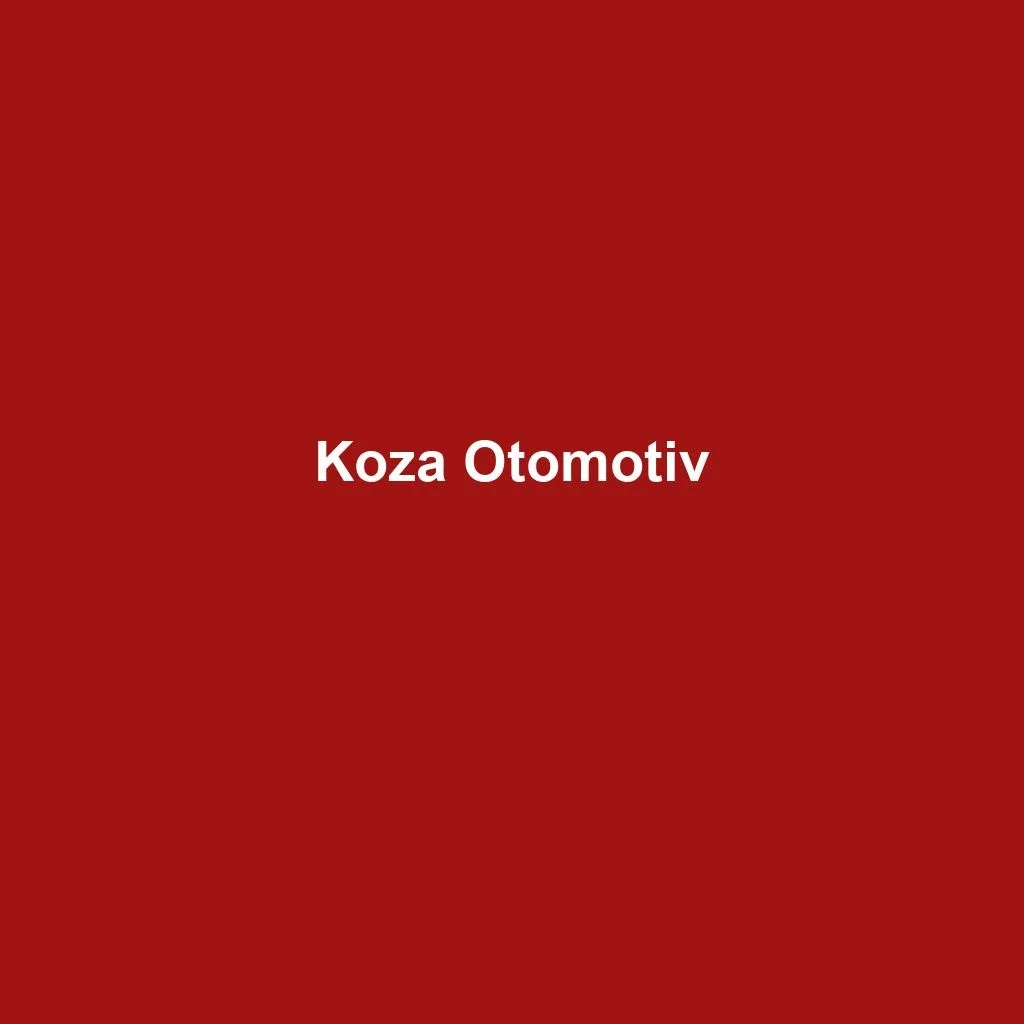 Kauçuk Oto Paspas — Koza Otomotiv