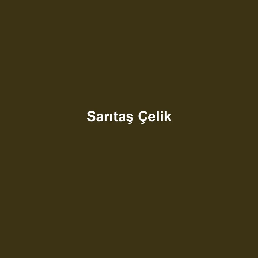 Paslanmaz Çelik Tedariki — Sarıtaş Çelik