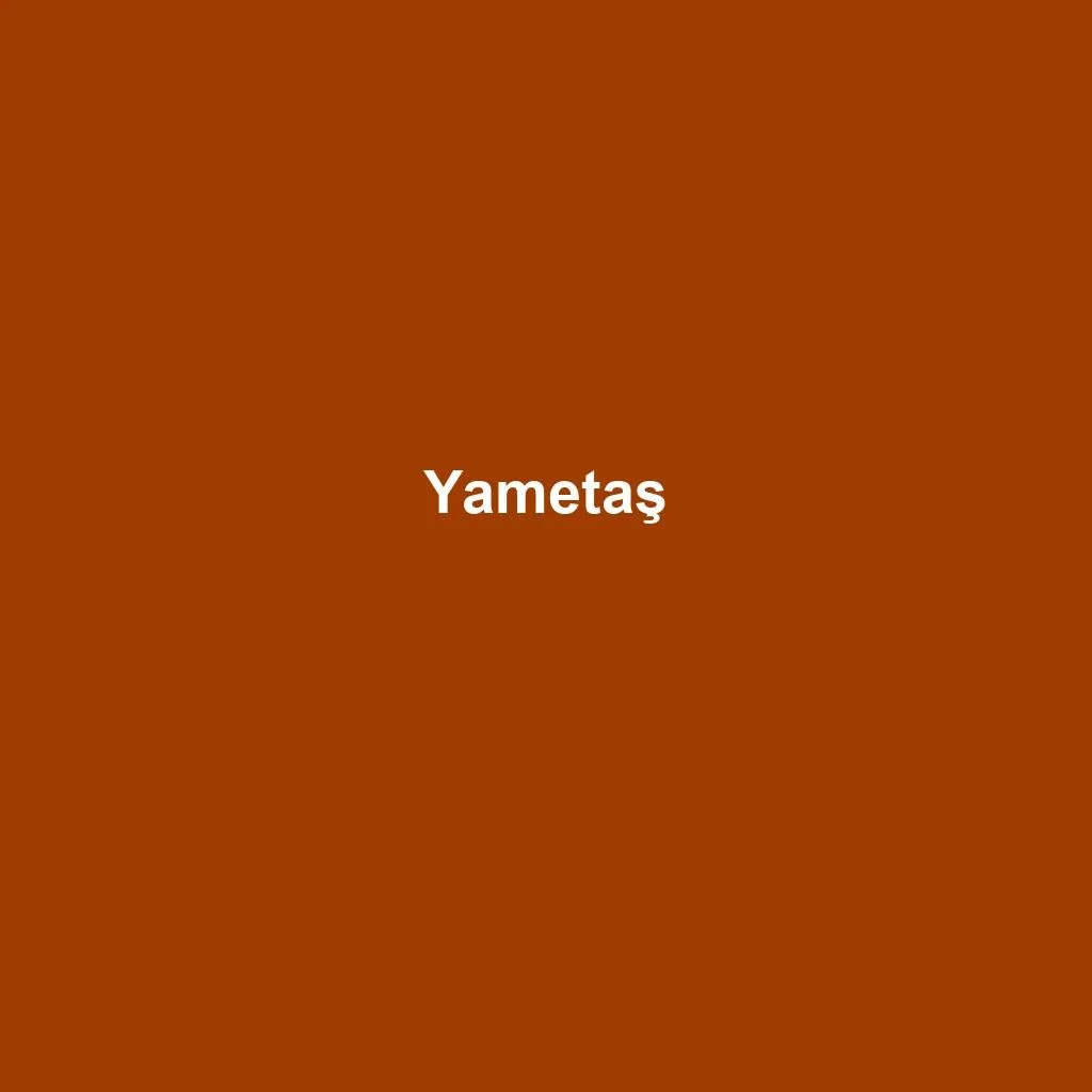 Boy Kesme — Yametaş