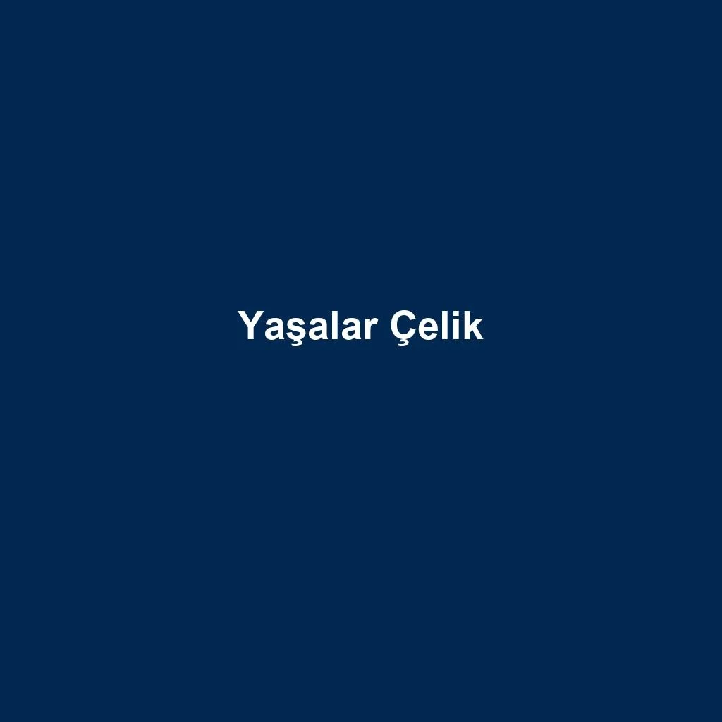 Tavan Taşıyıcı Metal Parça — Yaşalar Çelik