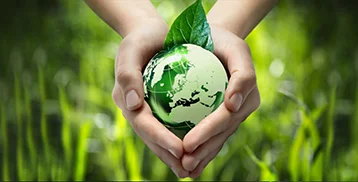 Environmental Consultancy Package — Gisaş Gemi İnşa