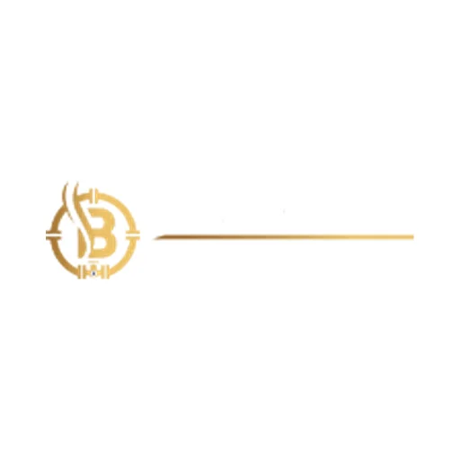 Bozkurt Gemi logo