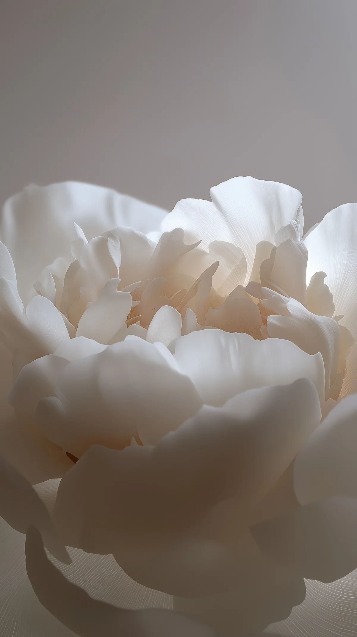 Fragrance Compound — Gülçiçek Kimya