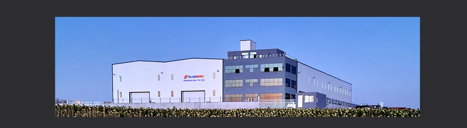 Alumsan