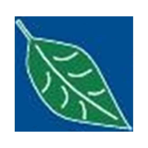 Bayersan logosu