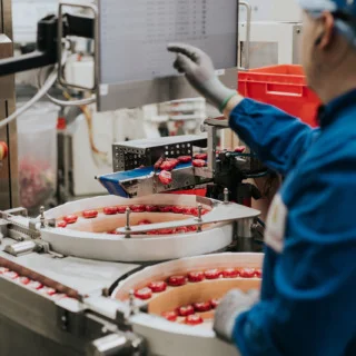 Dairy Processing — Bel Karper
