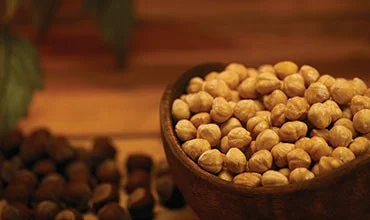 Roasted Hazelnut Kernels — Durak Fındık