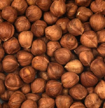 Natural Hazelnut Kernels — Gürsoy Fındık