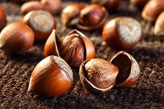 Roasting and Blanching — Gürsoy Fındık