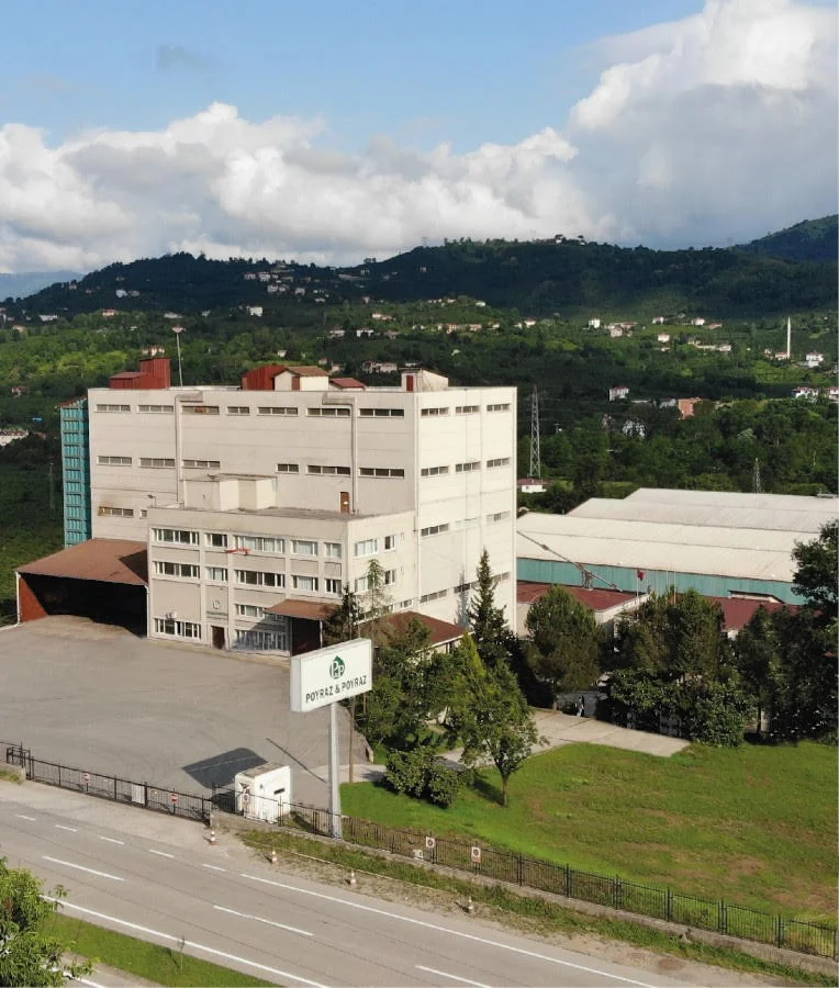Optical Laser Sorting — Poyraz Poyraz Fındık