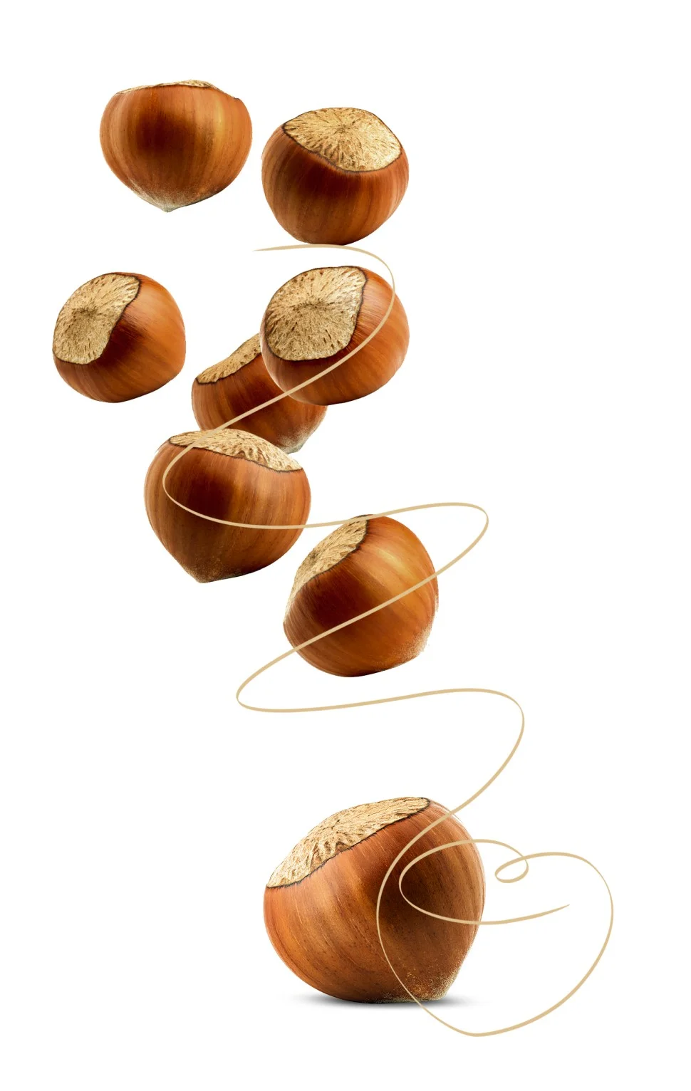 Natural Hazelnut Kernels — Ferrero Fındık Ordu