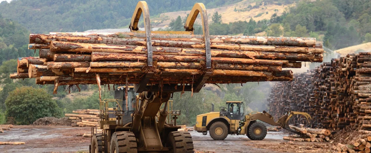 Sawn Lumber — Pınar Orman Ürünleri