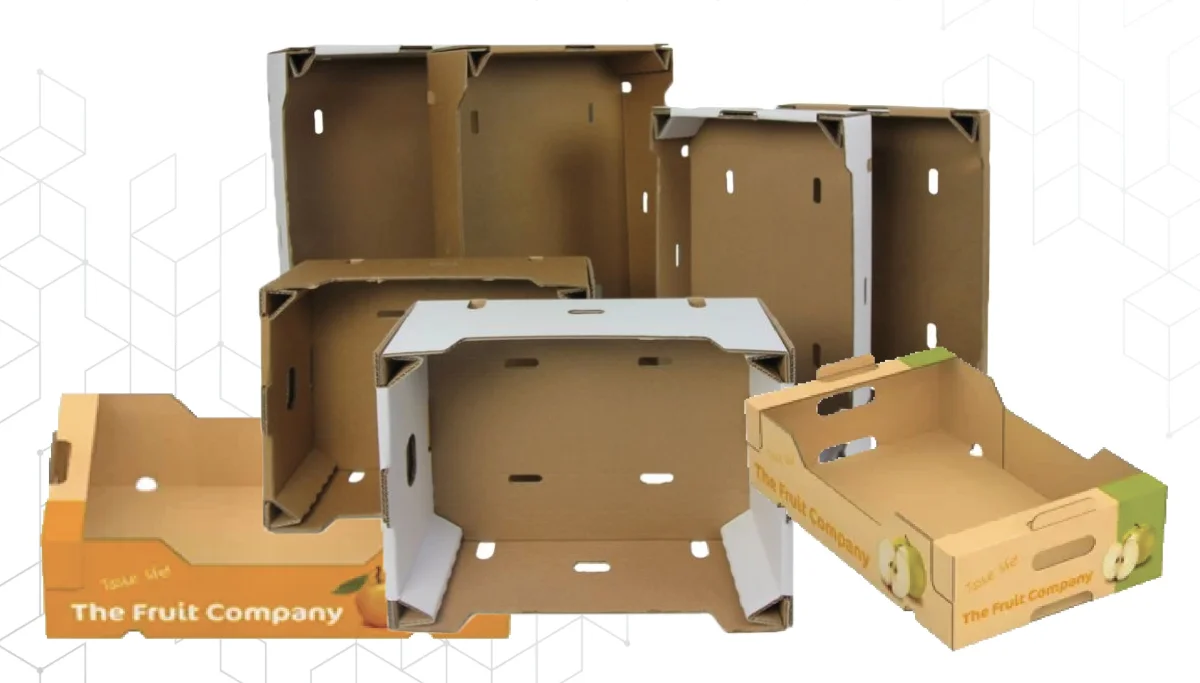 Custom Carton Design — Orpack Ambalaj