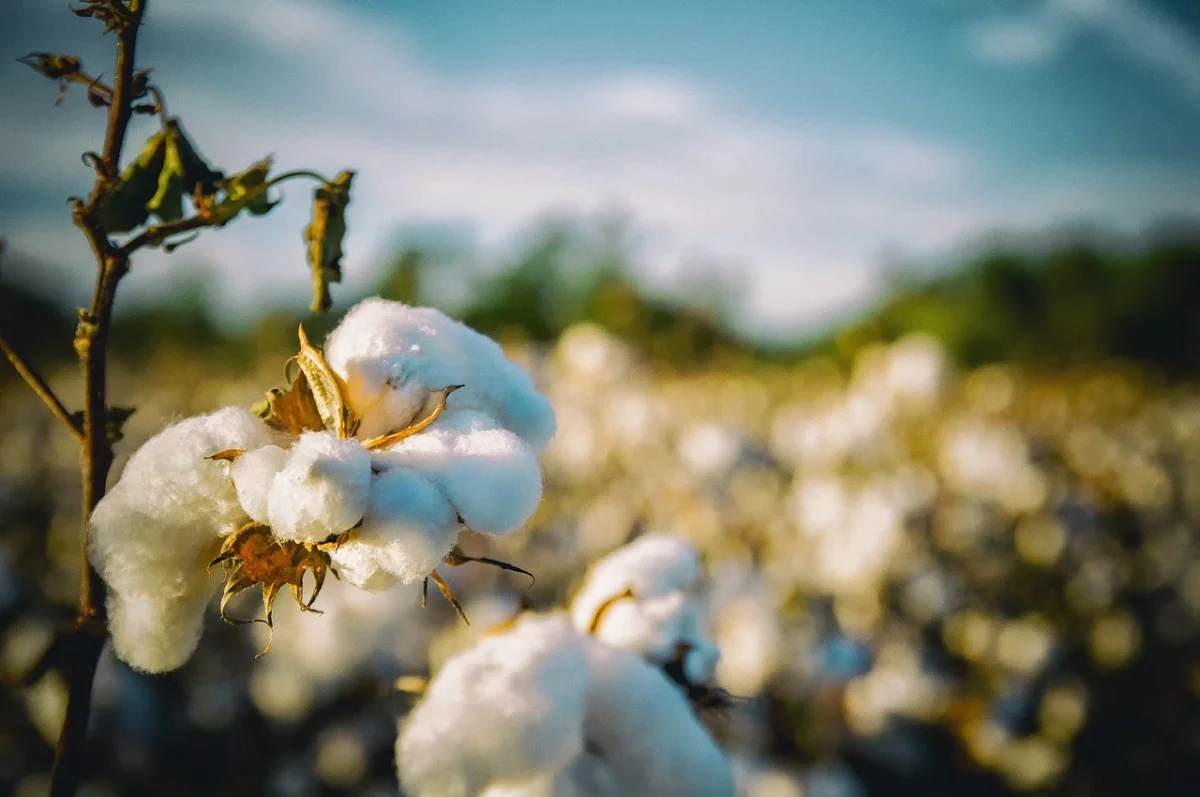 Knitted Fabric — Doğuş Tekstil