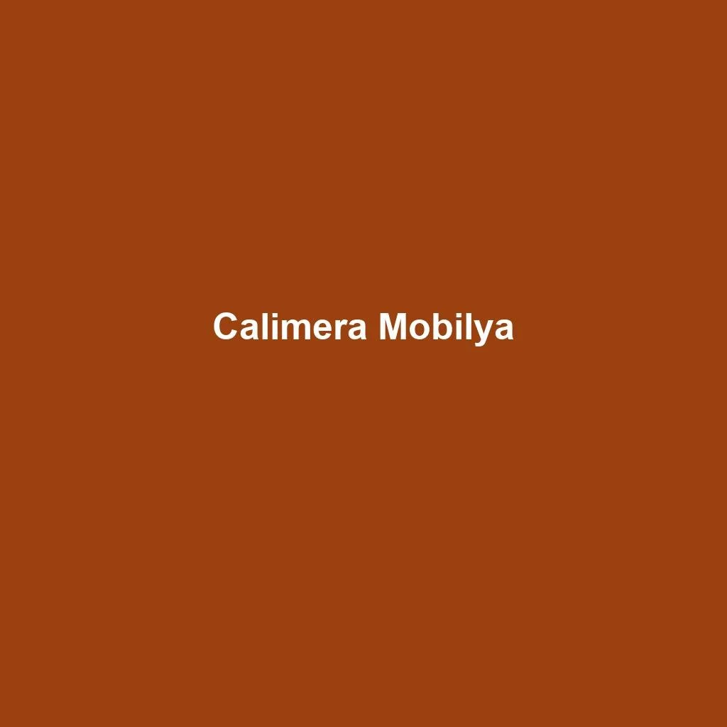 Furniture Manufacturing — Calimera Mobilya