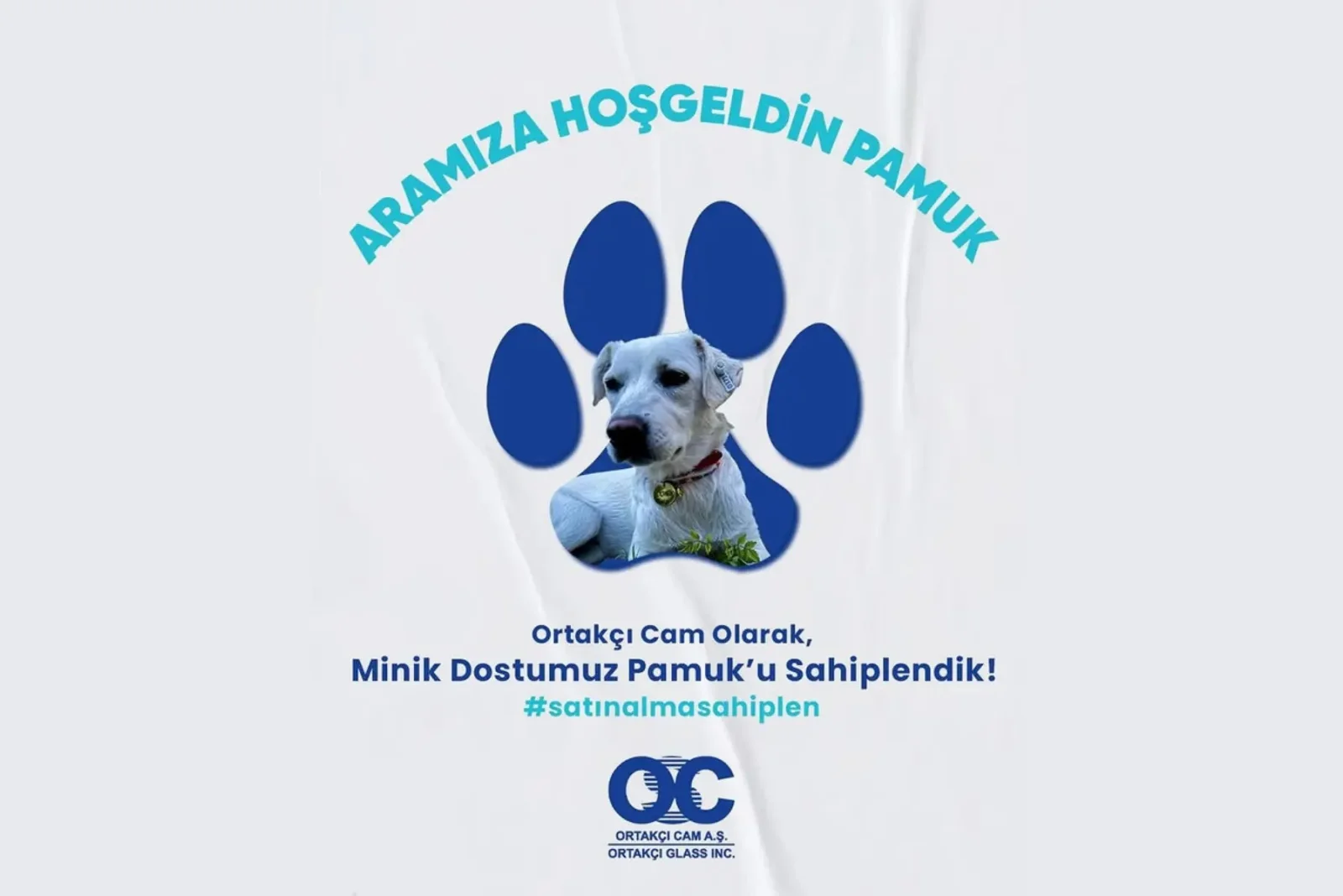 Ortakçı CAM