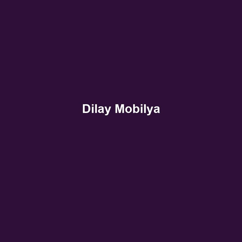 Dilay Mobilya