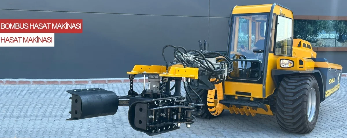 Olive Processing Machine Manufacturing — Çınarlı Makina
