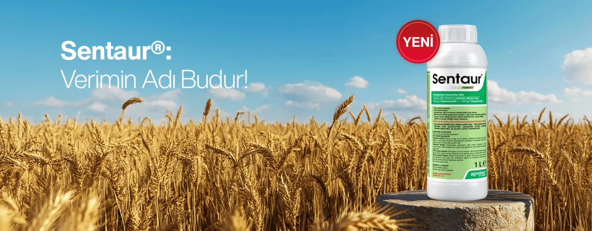 Fungicide — Agrobest Grup