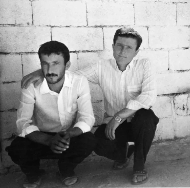 Yeşil Zeytin — Kavas Zeytincilik