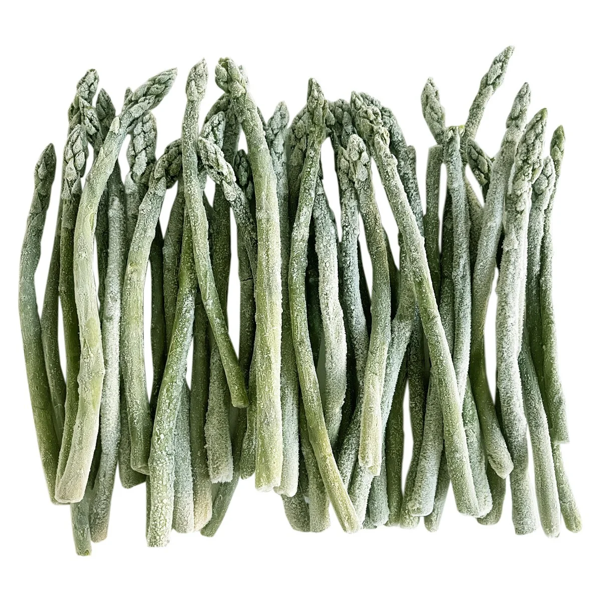 Asparagus Processing — Nordes Gıda