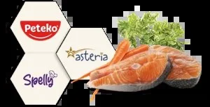 Asteria Wet Food — Petkon Konservecilik