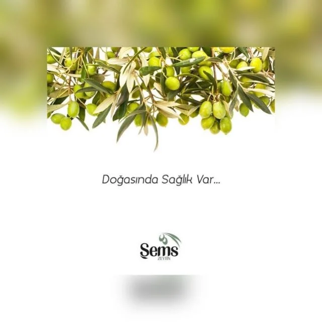 Doğal Fermente Zeytin — Şems Zeytin Entegre Tesisleri