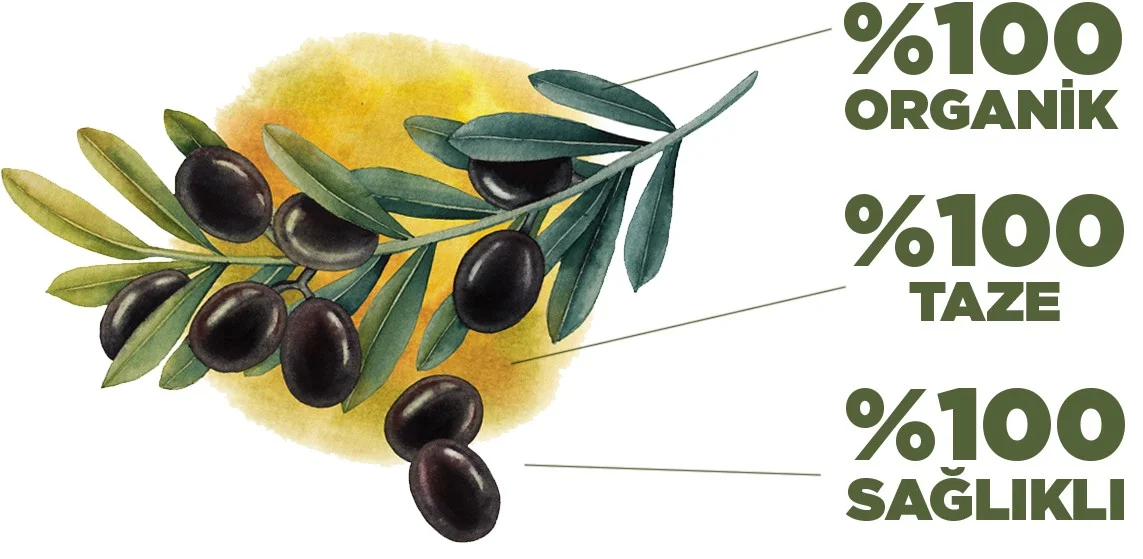 Olive Oil — Hikmet Gıda