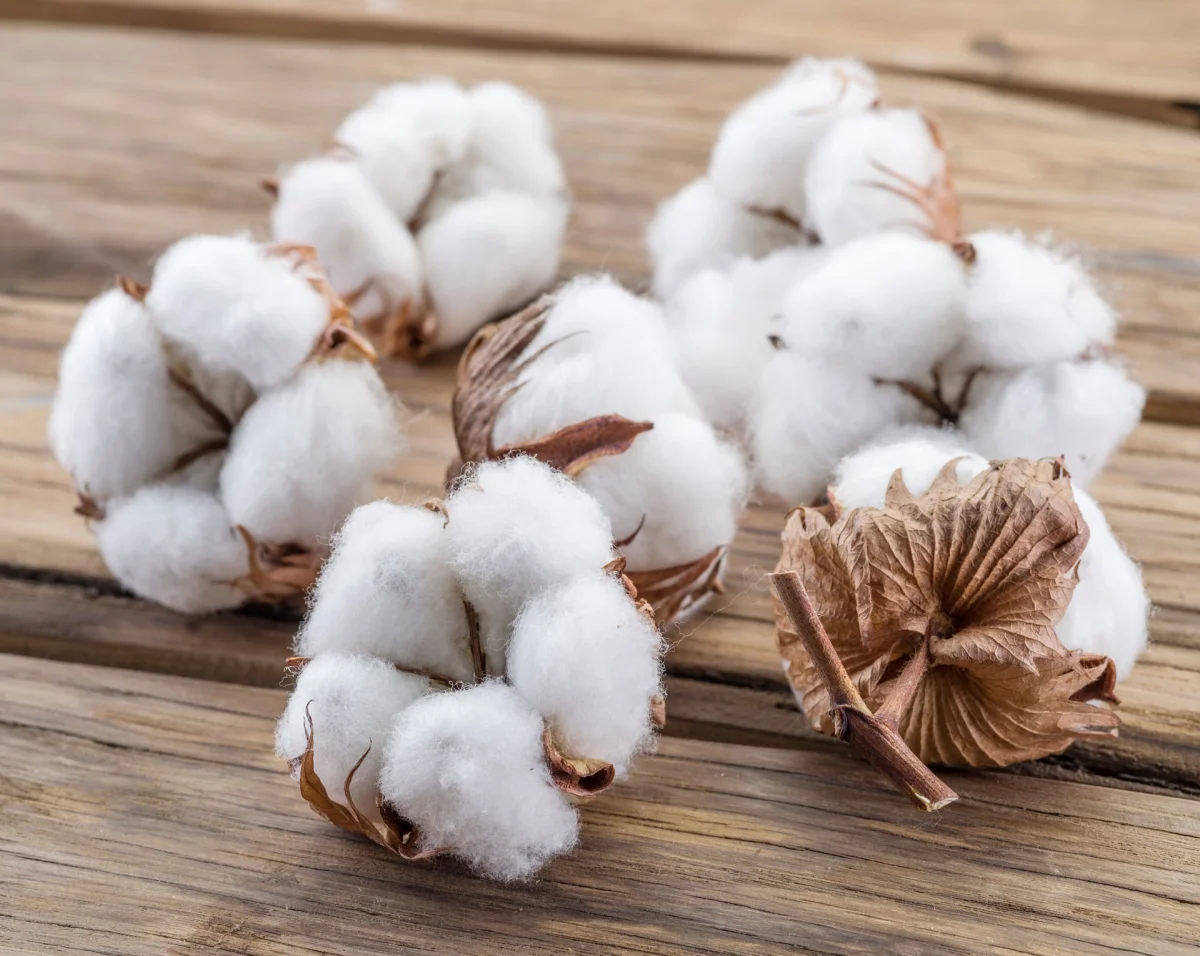 Woven denim fabric — Orta Anadolu