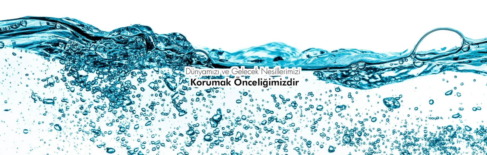 Polinas Plastik Sanayii ve Ticareti A.Ş.