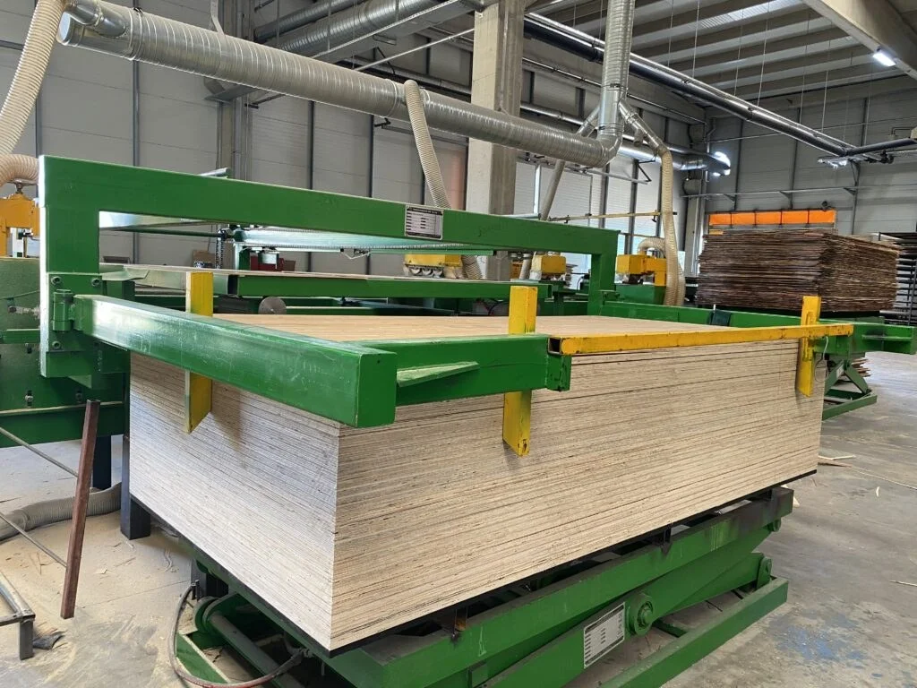 Birch plywood — Ortech Endüstri