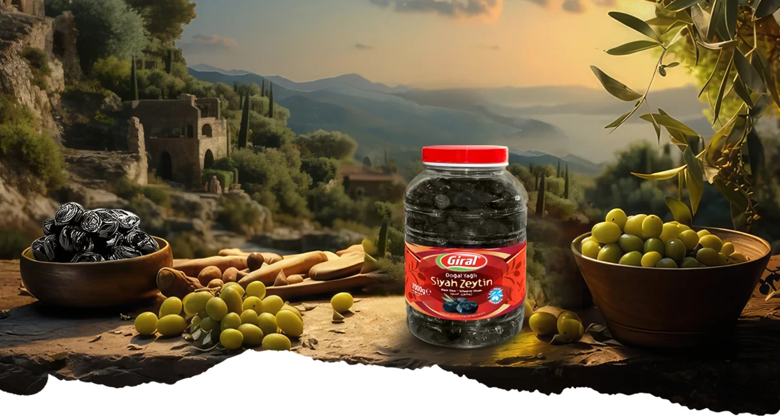 Giral Zeytincilik