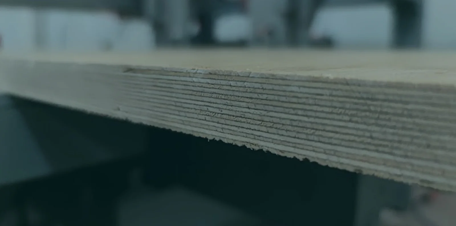 Lıpın Plywood