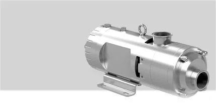 Hygienic Process Pump — Sesinoks Çelik Gayrimenkul Yapı San. Tic. A.Ş.