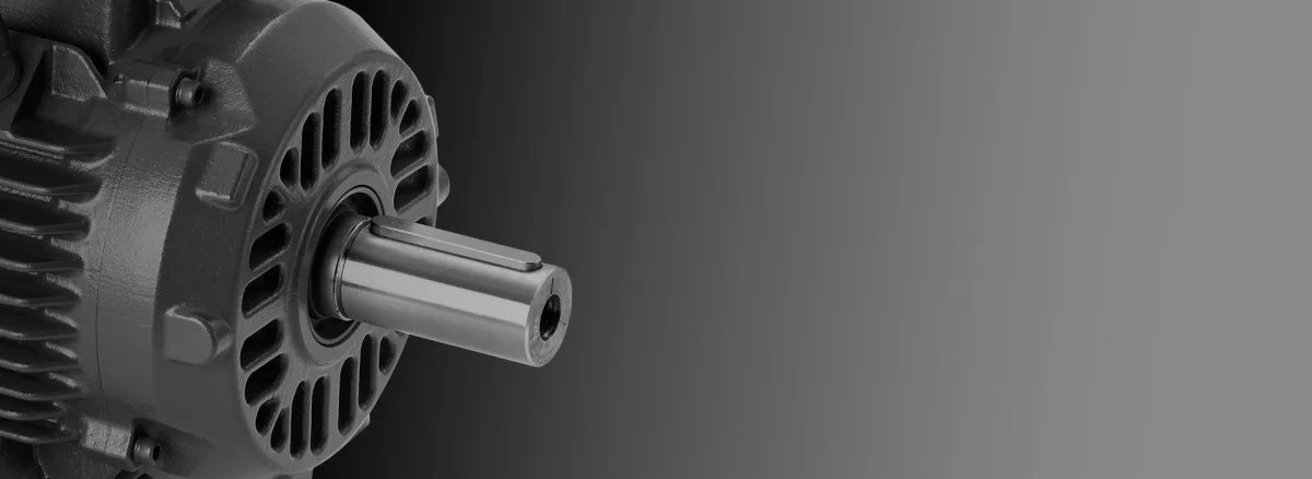 Three-Phase Cast-Iron Frame Motors — WAT Motor Sanayi ve Ticaret A.Ş.