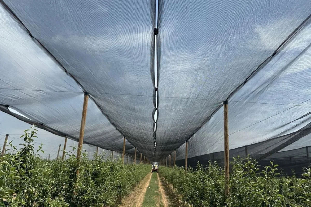 Agricultural Film Supply — Filpa Ambalaj ve Dış Ticaret A.Ş.