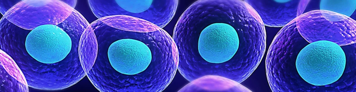Lipocell Stem Cell Kit — Neotec Biyoteknoloji San. ve Dış Tic. Ltd. Şti.