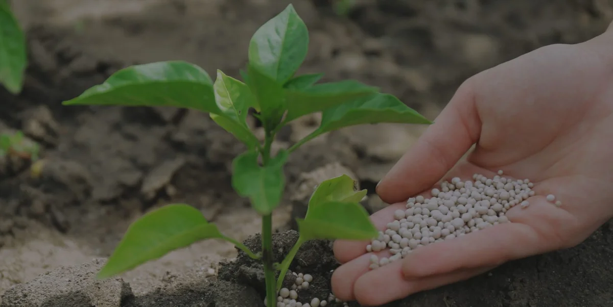 Granule Manufacturing — Ademoğlu Plastik İthalat ve İhracat San. Ltd. Şti.