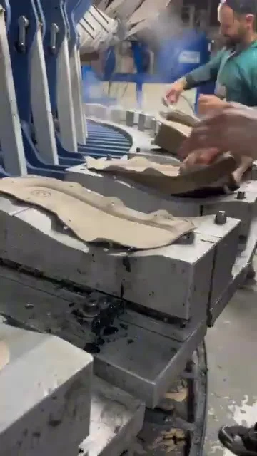 Tiger Shoes Ayakkabı İthalat İhracat Sanayi Ticaret Ltd. Şti.