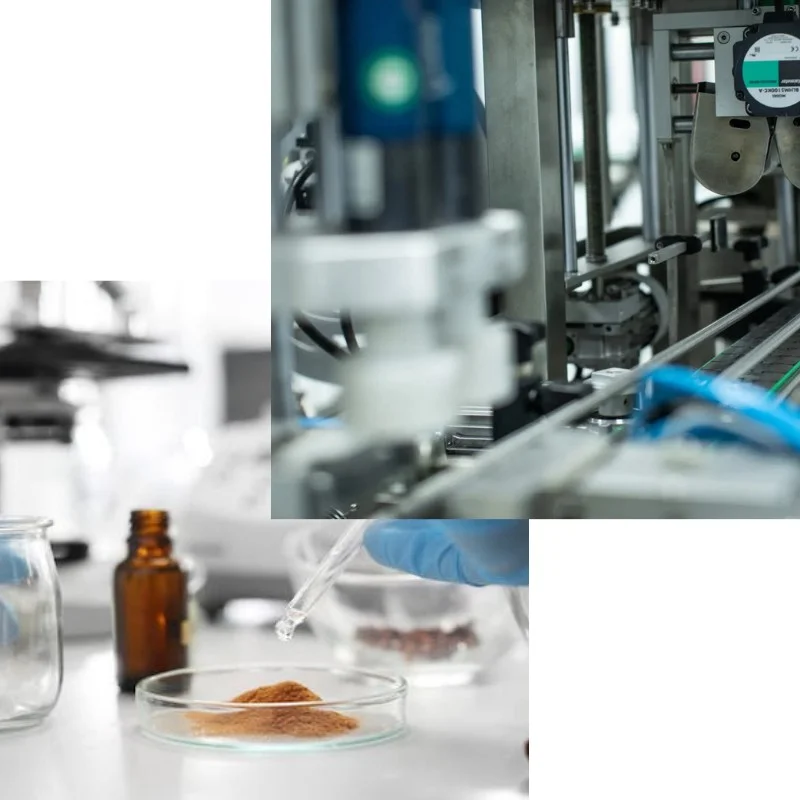 Powder Blending and Sachet Filling — Mirfarma