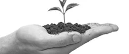 Entovest İlaç Kimya ve Teknoloji Araştırma Merkezi San. Tic. Ltd. Şti.