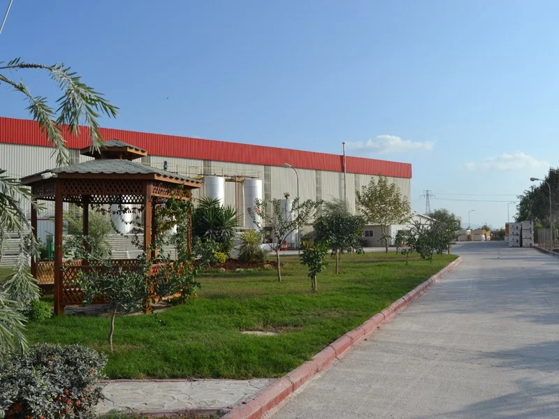 Davut Panel