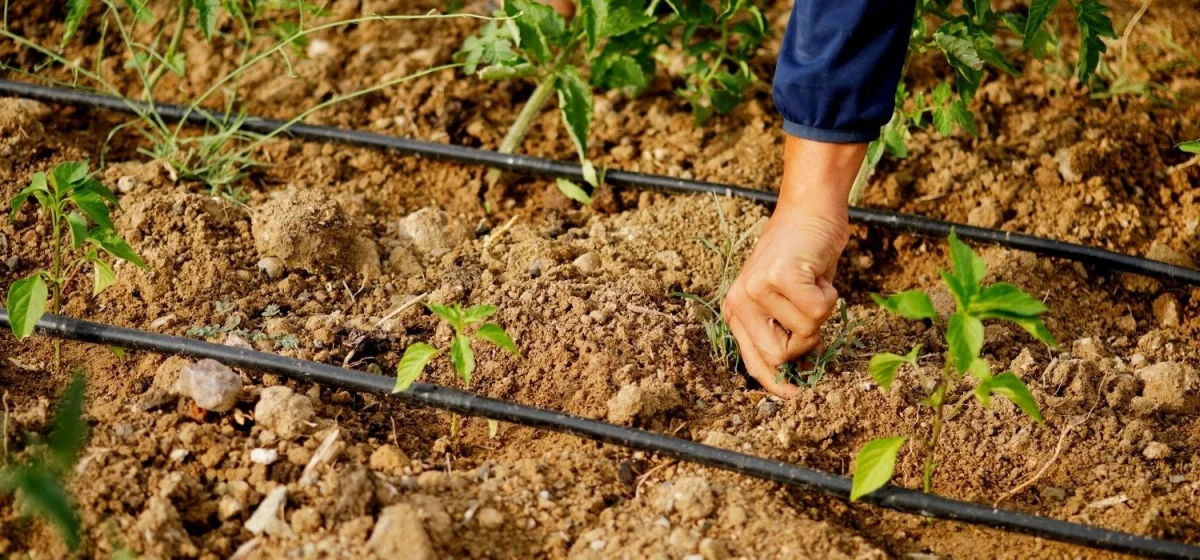 Sprinkler irrigation pipe manufacturing — Ergünbaş Pipe