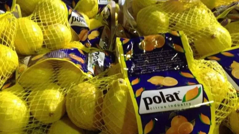 Polat Sebze Meyve Narenciye San. ve Tic. A.Ş.
