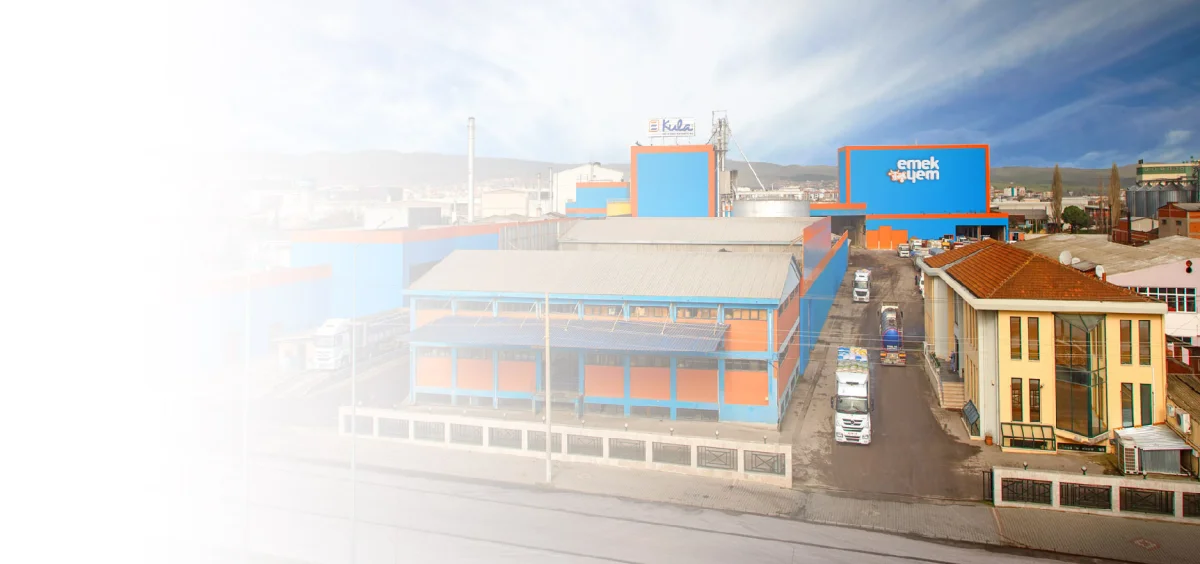 Poultry Feed Formulation and Dispatch — Kula Yağ ve Emek Yem San. Tic. A.Ş.
