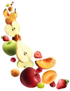 Organic Production — Limkon Gıda San. ve Tic. A.Ş.